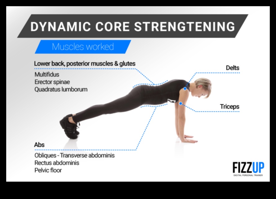 Dynamic Core Dynamo: Hedefli Egzersizlerle Vücudunuzu Canlandırın